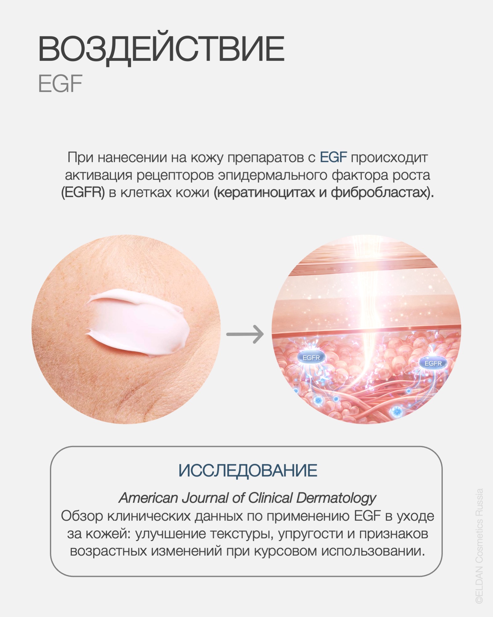 Egf In Cosmetics Эпидермальный фактор роста EGF в косметике — Механизм действия и эффект ...