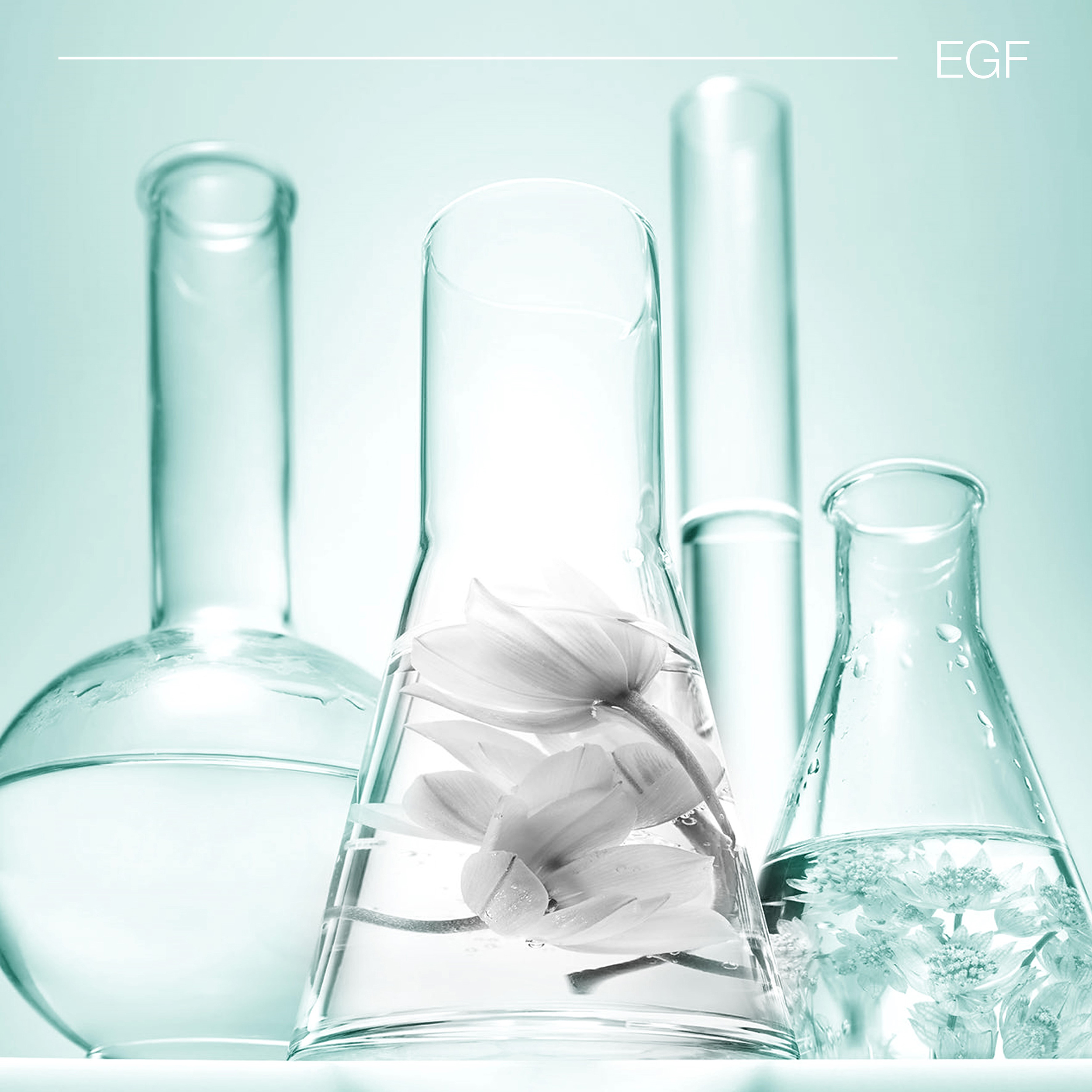 EGF-эпидермальный фактор роста