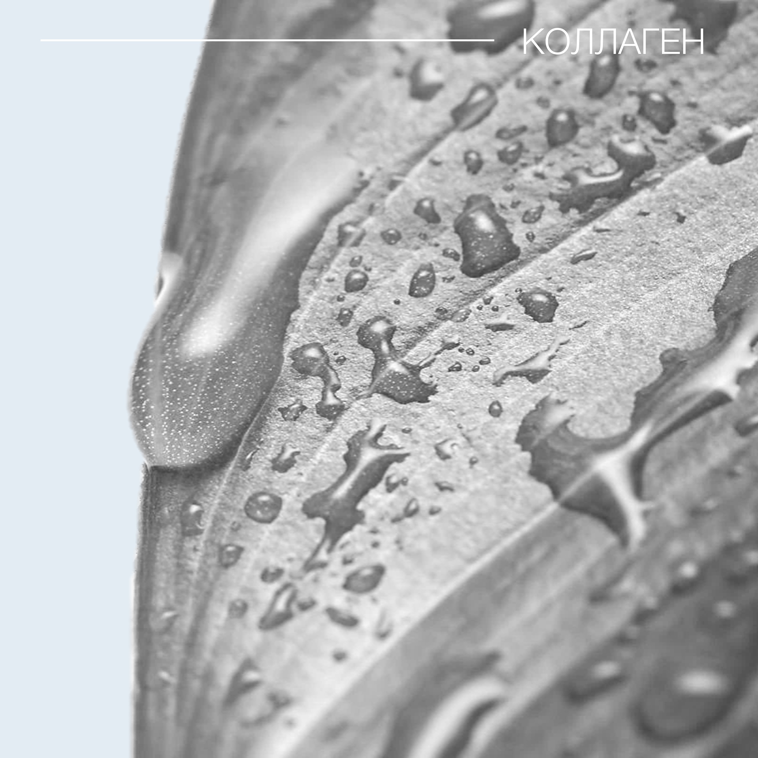 Коллаген-белок молодости, свойства и польза для организма