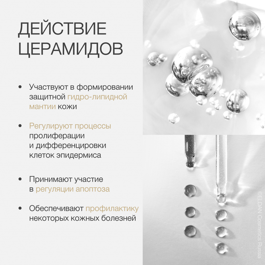 Церамиды в косметологии: свойства и применение — ELDAN Cosmetics