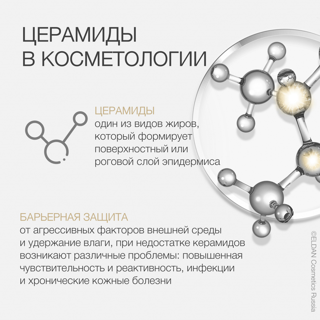 Церамиды в косметологии: свойства и применение — ELDAN Cosmetics
