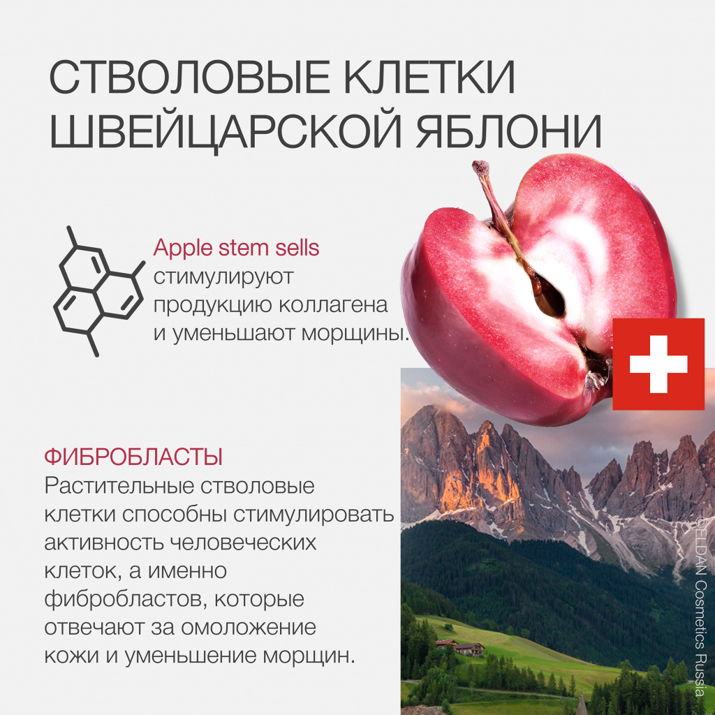 Пост клеточная терапия 3.jpg